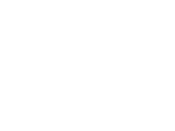 GM